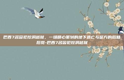 巴西7名囚犯挖洞越狱，一场精心策划的地下逃亡与警方的后知后觉-巴西7名囚犯挖洞越狱