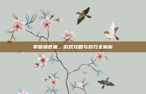掌握操芭蕉,游戏攻略与技巧全解析