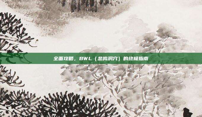 全面攻略，BWL（悲鸣洞穴）的终极指南