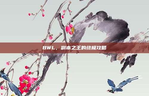 BWL，副本之王的终极攻略