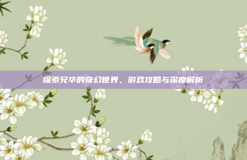 探索兄华的奇幻世界，游戏攻略与深度解析