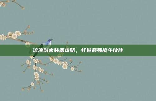 流浪剑客装备攻略，打造最强战斗伙伴