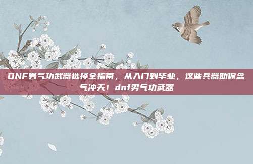 DNF男气功武器选择全指南，从入门到毕业，这些兵器助你念气冲天！dnf男气功武器