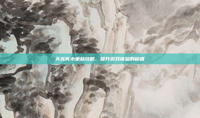 天龙宵小坐标攻略，提升游戏体验的秘籍