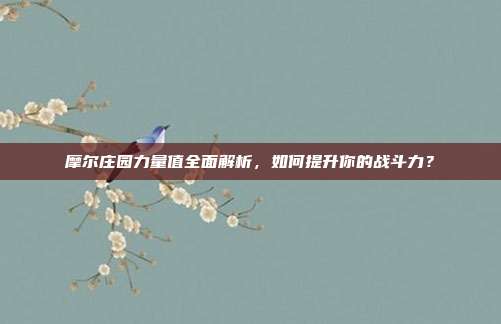 摩尔庄园力量值全面解析,如何提升你的战斗力?