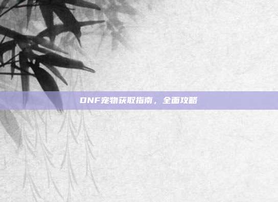 DNF宠物获取指南，全面攻略