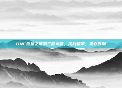 DNF绝望之塔第三层攻略,挑战极限,勇夺胜利