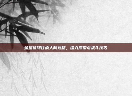 蝙蝠侠阿甘疯人院攻略,深入探索与战斗技巧