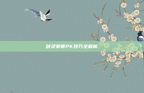 剑灵拳师PK技巧全解析