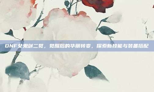 DNF女鬼剑二觉,觉醒后的华丽转变,探索新技能与装备搭配