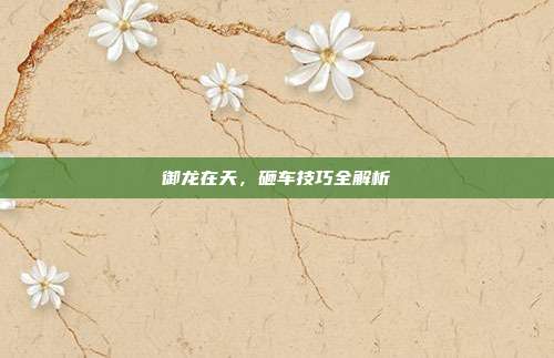 御龙在天,砸车技巧全解析