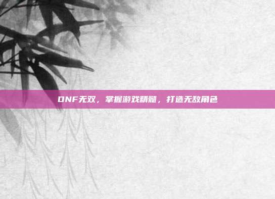 DNF无双,掌握游戏精髓,打造无敌角色