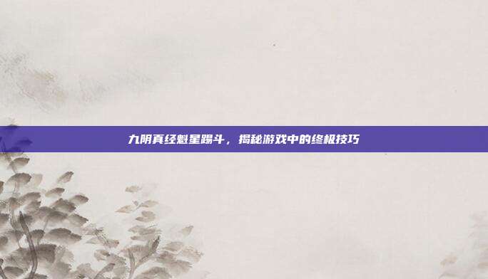 九阴真经魁星踢斗,揭秘游戏中的终极技巧
