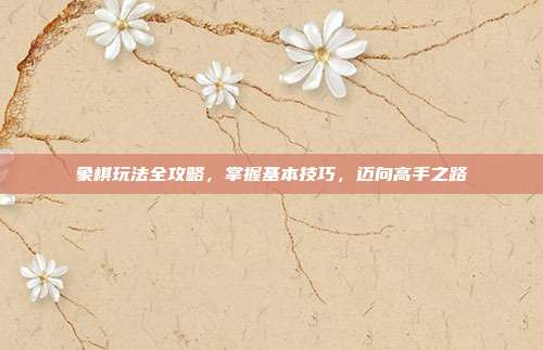象棋玩法全攻略,掌握基本技巧,迈向高手之路
