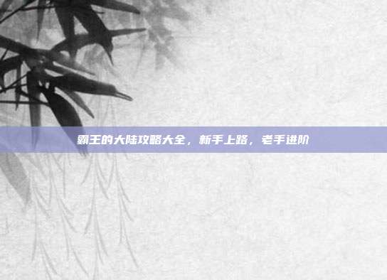 霸王的大陆攻略大全,新手上路,老手进阶