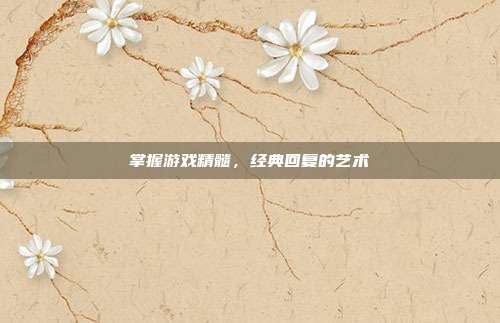 掌握游戏精髓,经典回复的艺术