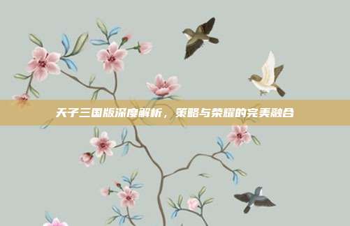 天子三国版深度解析,策略与荣耀的完美融合