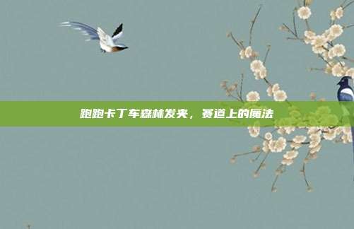 跑跑卡丁车森林发夹,赛道上的魔法