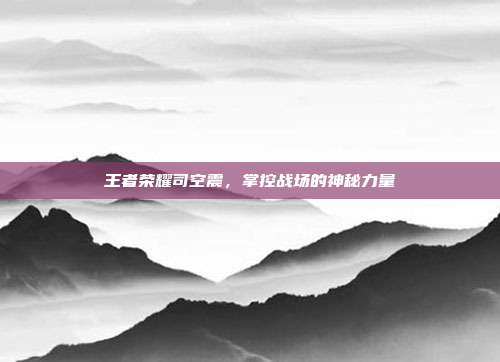 王者荣耀司空震,掌控战场的神秘力量