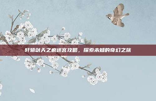 轩辕剑天之痕迷宫攻略,探索未知的奇幻之旅