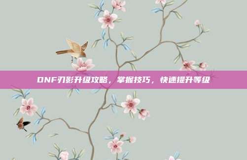 DNF刃影升级攻略,掌握技巧,快速提升等级