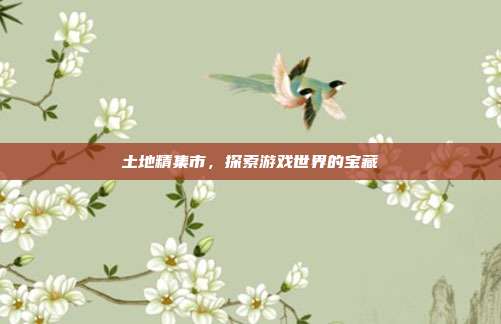 土地精集市,探索游戏世界的宝藏