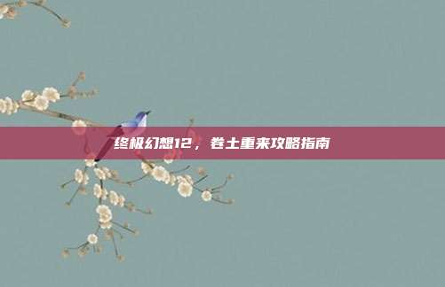终极幻想12,卷土重来攻略指南