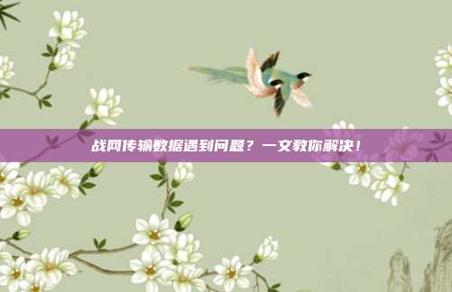 战网传输数据遇到问题?一文教你解决!