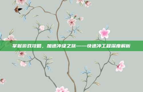 掌握游戏攻略,加速冲级之旅——快速冲工程深度解析