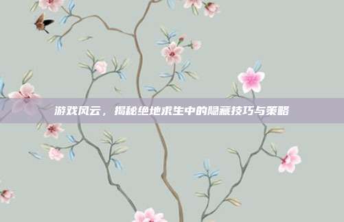 游戏风云,揭秘绝地求生中的隐藏技巧与策略