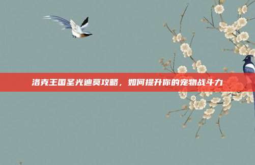 洛克王国圣光迪莫攻略,如何提升你的宠物战斗力