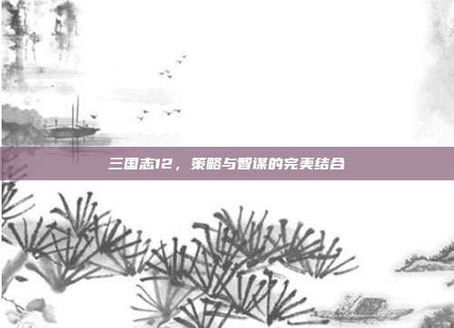 三国志12，策略与智谋的完美结合