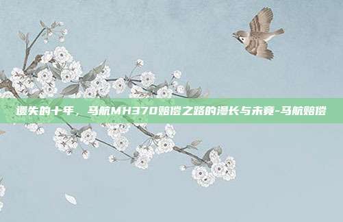 遗失的十年，马航MH370赔偿之路的漫长与未竟-马航赔偿