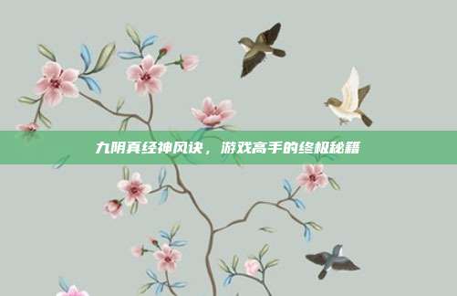九阴真经神风诀,游戏高手的终极秘籍