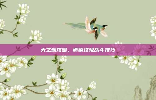天之劫攻略,解锁终极战斗技巧