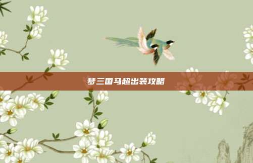 梦三国马超出装攻略