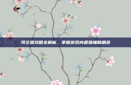 司空震攻略全解析,掌握游戏内最强辅助角色