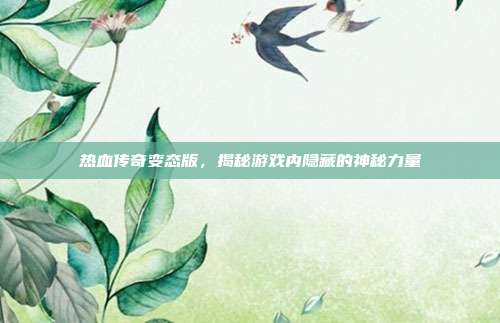 热血传奇变态版，揭秘游戏内隐藏的神秘力量