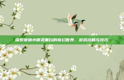 探索宠物小精灵黑白的奇幻世界,游戏攻略与技巧