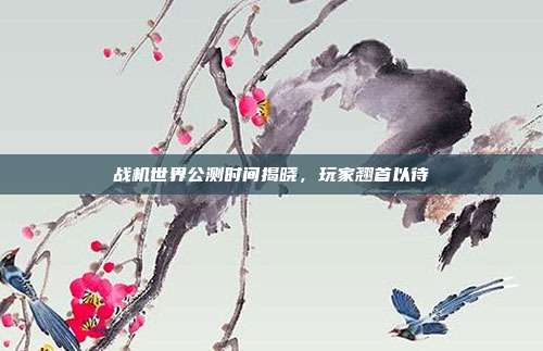 战机世界公测时间揭晓,玩家翘首以待