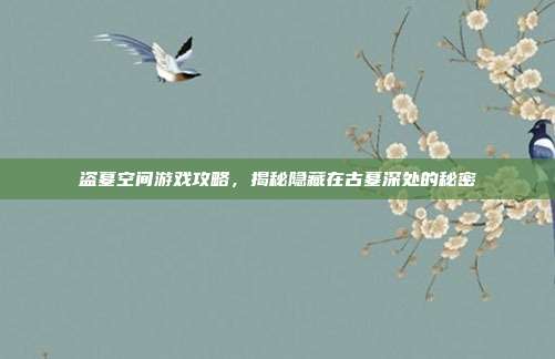盗墓空间游戏攻略,揭秘隐藏在古墓深处的秘密