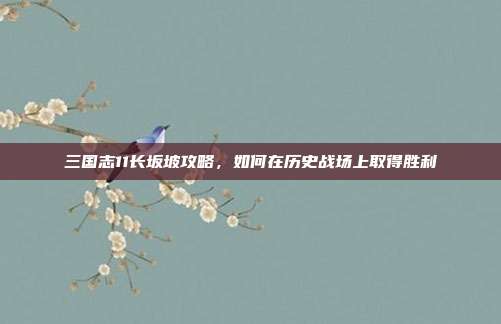 三国志11长坂坡攻略,如何在历史战场上取得胜利