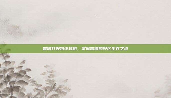 盲僧打野路线攻略,掌握盲僧的野区生存之道
