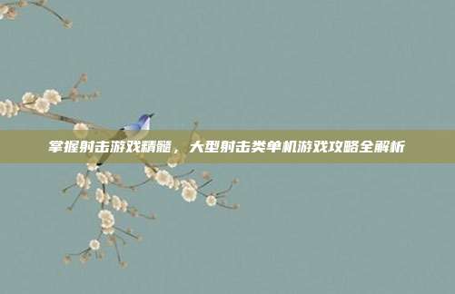 掌握射击游戏精髓,大型射击类单机游戏攻略全解析