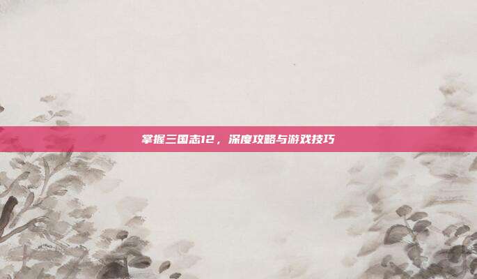 掌握三国志12,深度攻略与游戏技巧