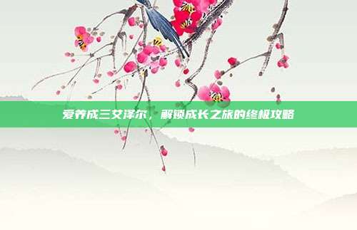 爱养成三艾泽尔,解锁成长之旅的终极攻略