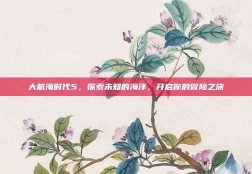 大航海时代5,探索未知的海洋,开启你的冒险之旅