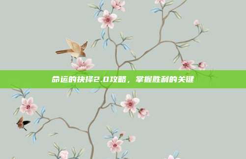 命运的抉择2.0攻略,掌握胜利的关键