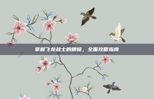 掌握飞龙战士的精髓,全面攻略指南