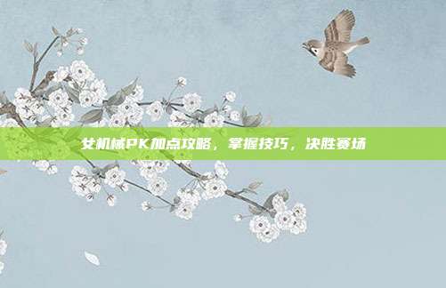 女机械PK加点攻略,掌握技巧,决胜赛场